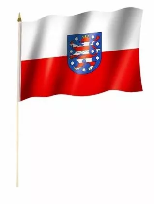 Thüringen Stockfahnen