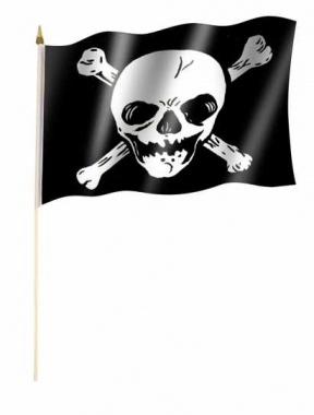 Skull Hand Flag
