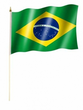 Brazil Hand Flag