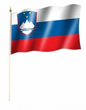 Slowenia Hand Flag