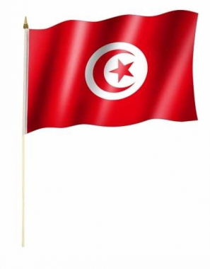 Tunesien Stockfahnen