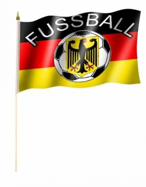 Deutschland Fussball Stockfahnen
