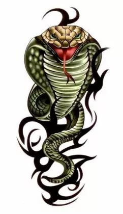 Tattoo Kobra