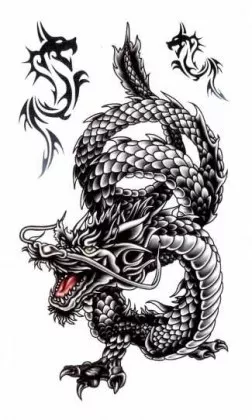 Tattoo Drache