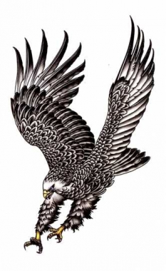 Tattoo mit Adler