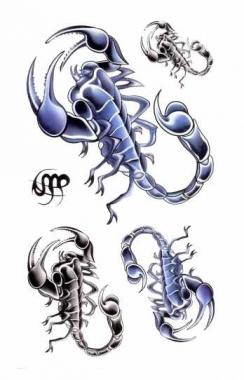 Temporäres Tattoo Skorpion