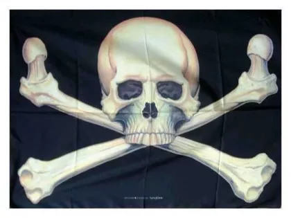 Posterfahne Totenkopf