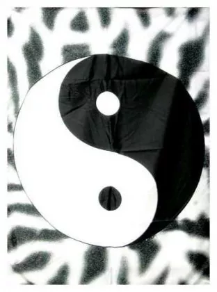 Posterfahne Yin Yang