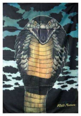 Poster Flag Kobra