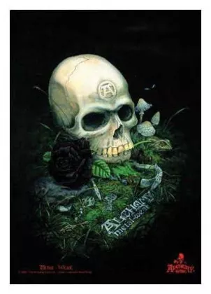 Posterfahne Alchemy