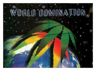 Posterfahne World Domination