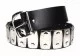 Belt - Plate Rivets