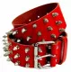 Red Belt - 3 R. Killer Studs