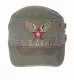 Star with Wings on US Army Cap