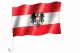 Car Flag Austria with Emblem