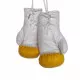 Germany Eagle Mini Boxing Gloves