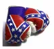 Confederate States Mini Boxing Gloves