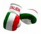 Italy Mini Boxing Gloves