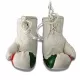 Kurdistan Mini Boxhandschuhe