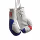 Croatia Mini Boxing Gloves
