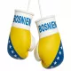 Bosnia Mini Boxing Gloves