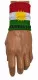 Kurdistan Sweatband