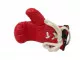 Red Mini Boxing Gloves