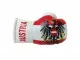 Austria Mini Boxing Gloves