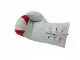 Austria Mini Boxing Gloves