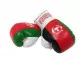 Afghanistan Mini Boxing Gloves
