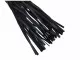 40 Tailed Flogger