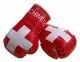 Switzerland Mini Boxing Gloves