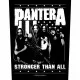 Pantera Rückenaufnäher Stronger than all