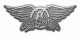 Aerosmith Logo Pin