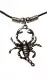 Zodiac Sign Pendant Necklace Scorpio