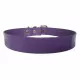 Purple Leather Collar Choker