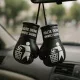 Mini-Boxhandschuhe Halte Deine Umwelt Sauber