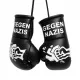 Mini-Boxhandschuhe Gegen Nazis