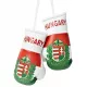 Ungarn Mini-Boxhandschuhe mit Nationalflagge und Wappen