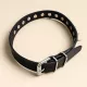 Leather Collar with Spikes and O-Ring