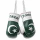 Pakistan Mini Boxhandschuhe