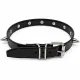 Lackleder Halsband mit 1.5 cm Conenieten