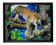 3D Picture leopard