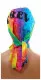 Bandana Cap Rainbow