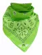 Paisley Bandana Halstuch in Grün