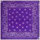 Bandana Head Wrap Scarf Paisley Purple