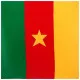 Bandana Halstuch Kamerun Fahne