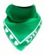 Bandana Head Wrap Scarf I Love Pakistan