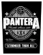 Pantera Stronger Than All