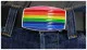 Belt Buckle Rainbow